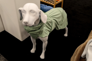 dog figure wearing a drying coat | Introducing the BlogPaws Best Award Winners at SuperZoo 2023