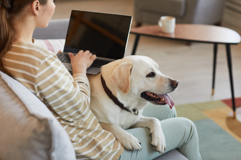 woman working on a laptop and cuddling a golden lab | Level Up Your Content Marketing with AI for SEO
