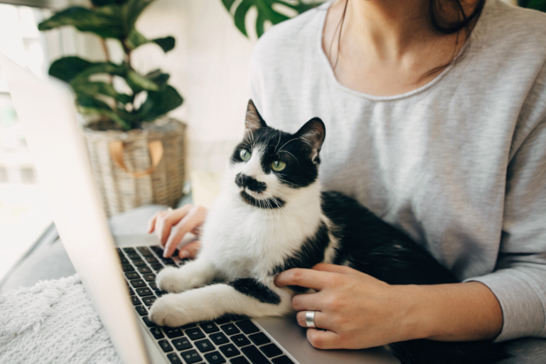 woman using laptop while cat lies on it | Why You Need An Author Byline on Every Blog Post