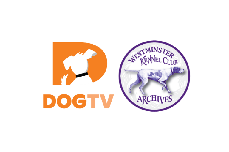 DOGTV Unveils Westminster Kennel Club Archival Footage & Videos