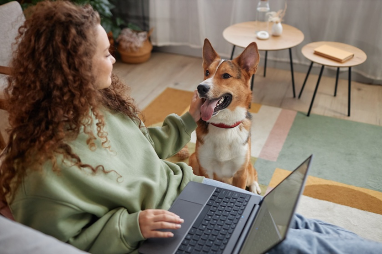 girl sitting on the couch with a laptop petting a dog | How to Pitch Collaborations as a Pet Influencer