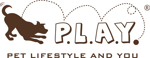 P.L.A.Y. logo