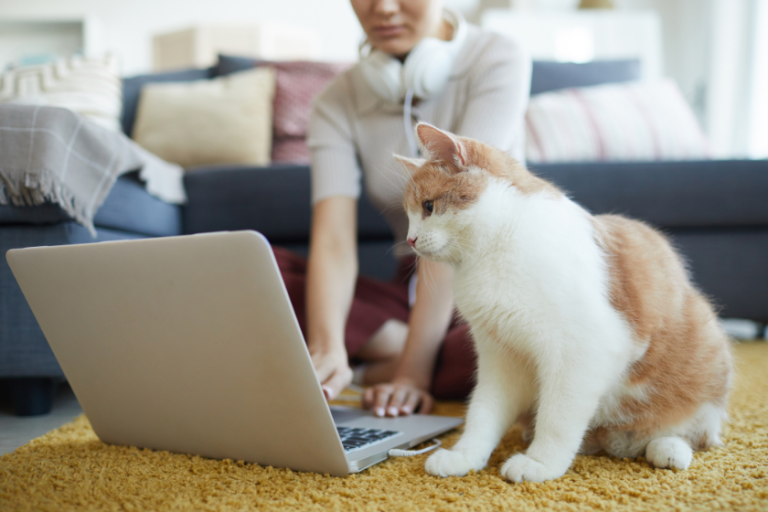 man sitting on the floor working on a laptop with a cat sitting next to him | Letter to the BlogPaws Community: Don’t Worry, Blogging is NOT Dead!