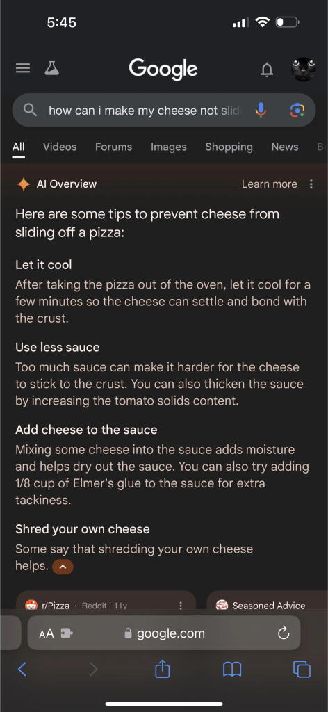 google screenshot re cheese sliding off pizza | AI Prompting Tips to Help Small Pet Businesses in 2025