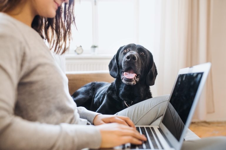 woman working on a laptop with a black dog lying next to her | AI Prompting Tips to Help Small Pet Businesses in 2025