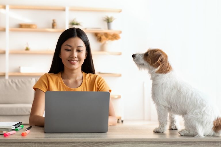 cute dog looking at a woman working on a laptop | Find Your Audience with Pinterest SEO Basics for Pet Content Creators