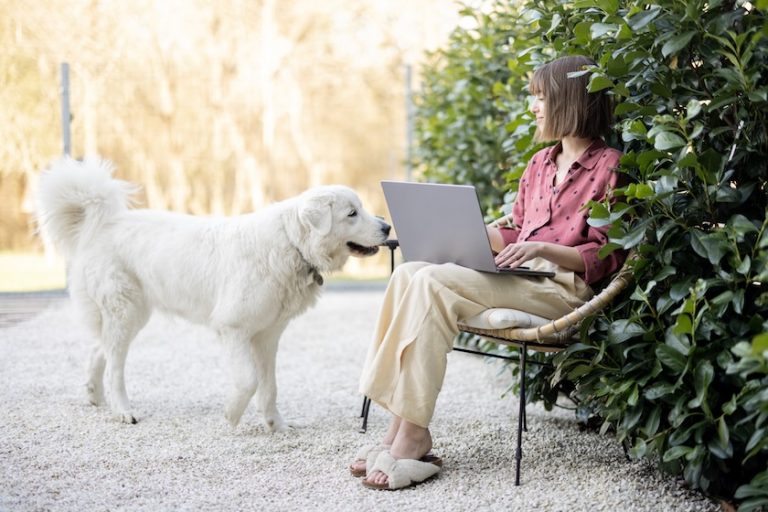 Woman works on laptop computer, sitting with dog in garden | How to Rank in AI Search Results: Actionable Steps to Help Your Pet Business Stand Out in Generative Search