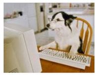 Dog at computer