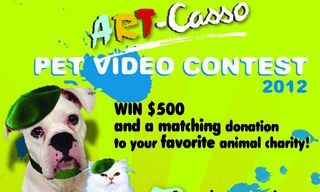 Art-Casso-Contest