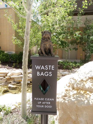 Please clean up after your dog!