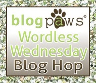 BlogPaws WW Blog Hop