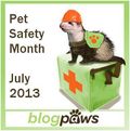 Pet safety